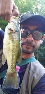 Smallmouth Bass