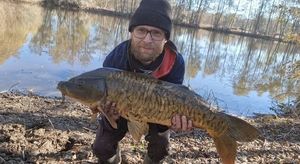 Mirror Carp