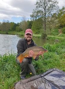 Common Carp
