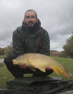 Common Carp