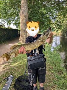 Northern Pike