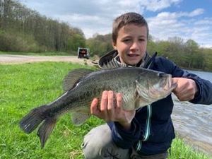 Largemouth Bass