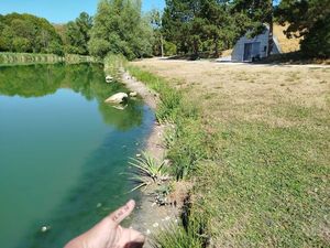 Poisson catastrophe