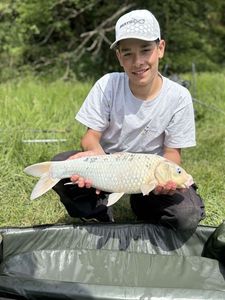 Koï Fish