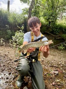 Northern Pike