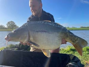 Mirror Carp