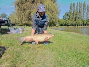 Grass Carp