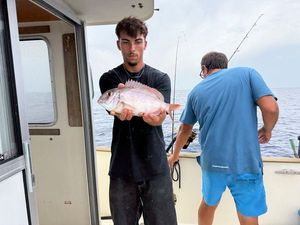 Red Porgy