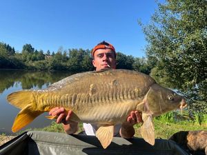 Mirror Carp