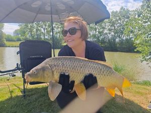 Common Carp