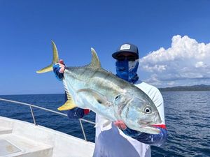 Crevalle Jack