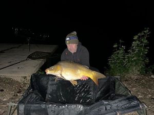 Mirror Carp