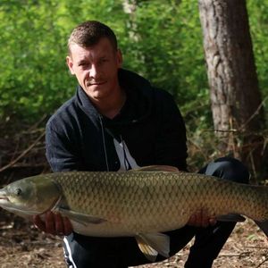 Grass Carp