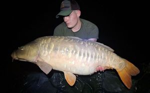 Mirror Carp