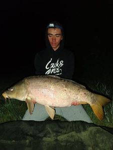 Mirror Carp