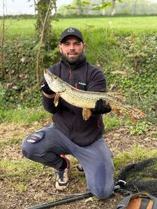 Northern Pike