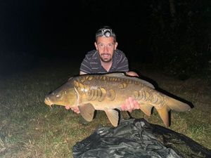 Mirror Carp