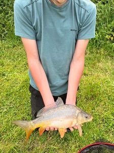 Mirror Carp