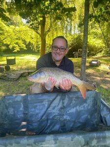 Common Carp
