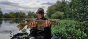 Northern Pike
