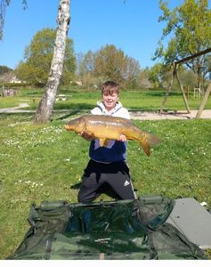 Mirror Carp