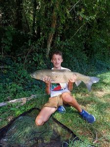 Grass Carp