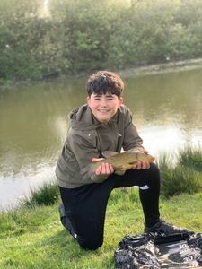 Tench