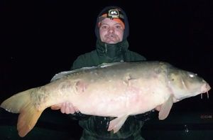 Mirror Carp