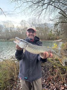 Northern Pike