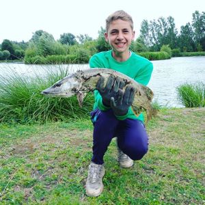 Northern Pike