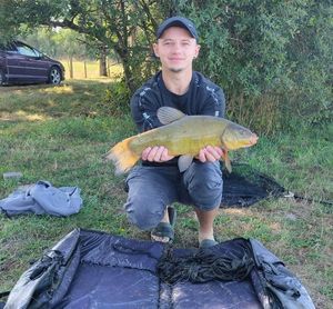 Tench