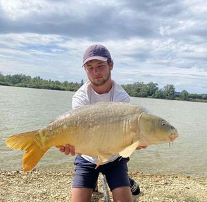 Mirror Carp