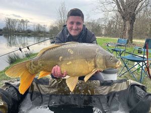 Mirror Carp