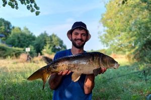 Mirror Carp