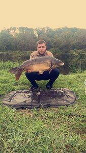 Mirror Carp
