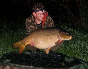 Mirror Carp