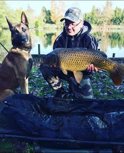 Common Carp