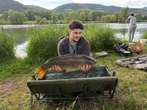 Common Carp