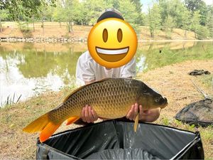 Common Carp
