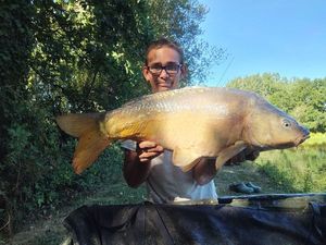 Mirror Carp