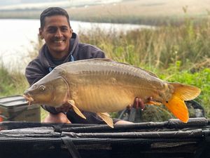 Mirror Carp