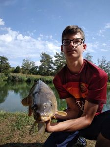 Mirror Carp