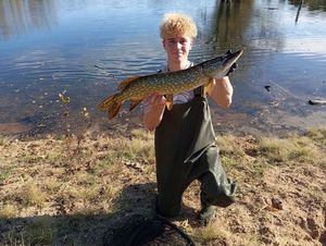 Northern Pike