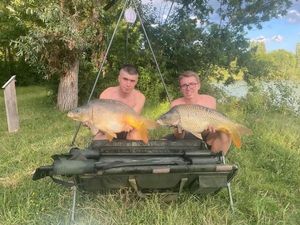 Mirror Carp