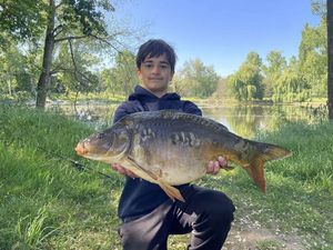 Mirror Carp