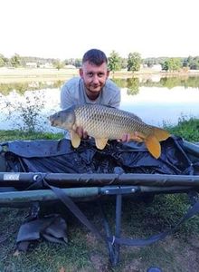 Common Carp