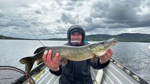 Northern Pike