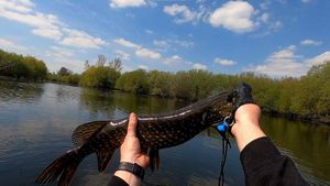 Northern Pike
