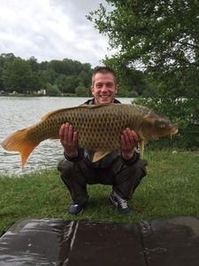 Common Carp