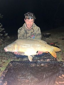 Mirror Carp